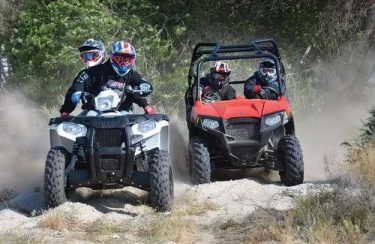 Buggy & Quad