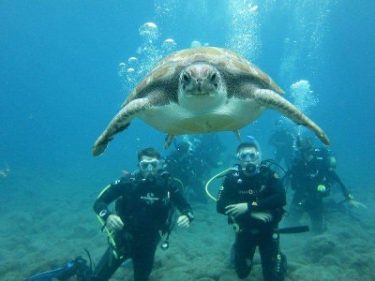 Underwater