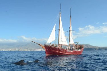 Boat Tours